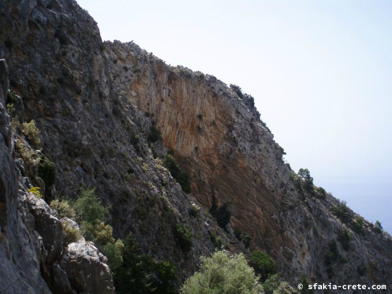 Photo report of a stay in and around Sfakia and Crete, May 2008